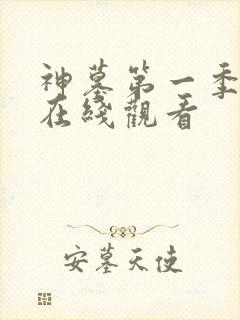 神墓第一季高清在线观看