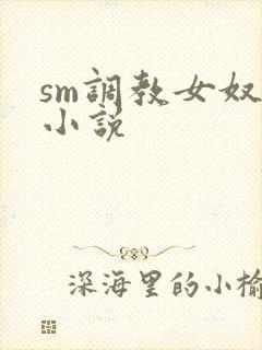 sm调教女奴的小说封面