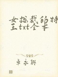 女总裁的特战兵王txt全本