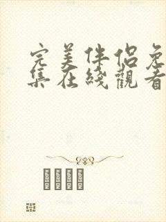 完美伴侣免费全集在线观看