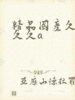精品国产久久久久久a