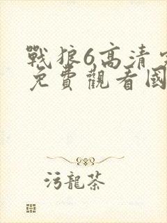 战狼6高清完整免费观看国语
