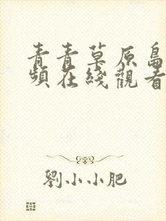 青青草原岛国视频在线观看封面