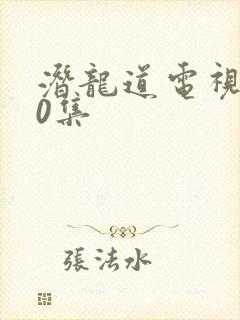 潜龙道电视剧40集