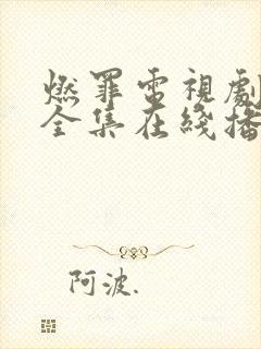 燃罪电视剧免费全集在线播放