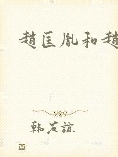 赵匡胤和赵匡胤