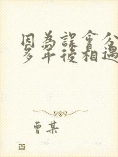 因为误会分开,多年后相遇的小说