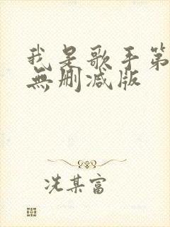 我是歌手第一季无删减版封面