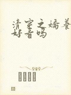 清穿之娇养皇妃好看吗