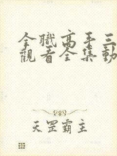 全职高手三免费观看全集动漫封面