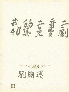 我的二哥二嫂全40集免费剧情介绍