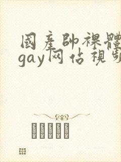 国产帅裸体男模gay网站视频