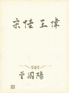 宋佳 王伟
