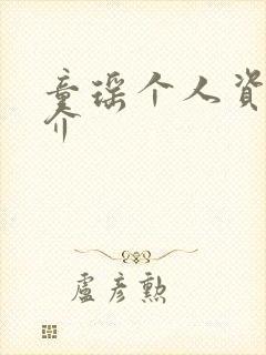 童瑶个人资料简介封面