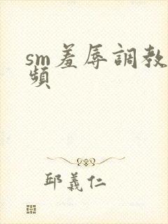 sm羞辱调教视频
