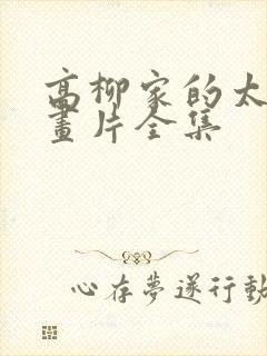 高柳家的太太动画片全集