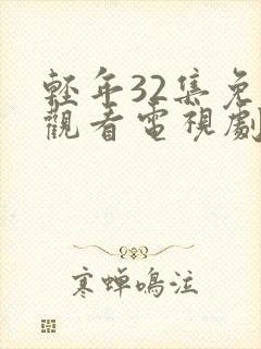 轻年32集免费观看电视剧封面