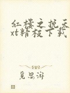 红楼之挽天倾txt精校下载