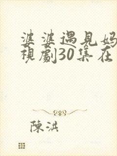 婆婆遇见妈妈电视剧30集在线观看封面