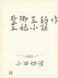 圣卿王的作妖小王妃小说