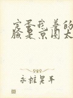 完蛋我养的小白脸是京圈太子爷短剧