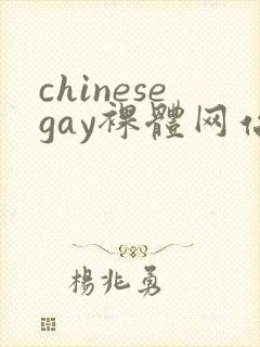 chinesegay裸体网站