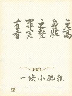 有罪之身免费观看完整版高清封面