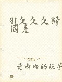 91久久久精品国产