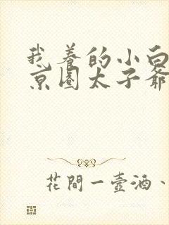我养的小白脸是京圈太子爷短剧封面