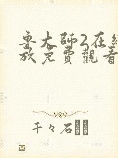鲁大师2在线播放免费观看下载