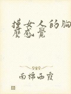 摸女人的胸是什么感觉