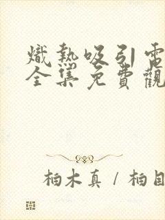 炽热吸引电视剧全集免费观看18集