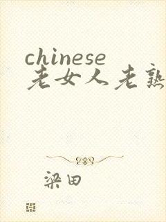 chinese老女人老熟妇av