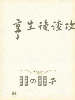 重生后渣攻真香了