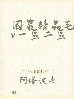 国严精品毛片av一区二区