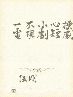 一不小心撩错人电视剧短剧封面