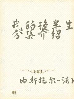 我的后半生剧集分集介绍封面