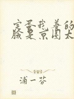 完蛋我养的小白脸是京圈太子封面