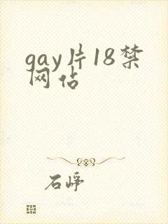 gay片18禁网站