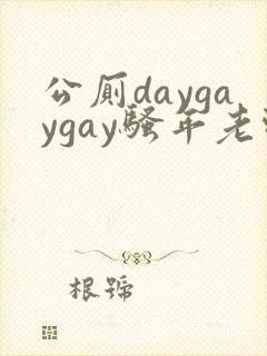 公厕daygaygay骚年老头封面