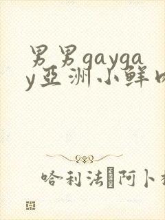 男男gaygay亚洲小鲜肉网站