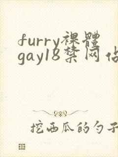 furry裸体gay18禁网站