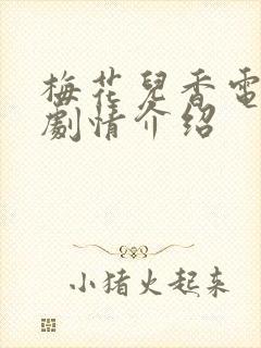 梅花儿香电视剧剧情介绍封面