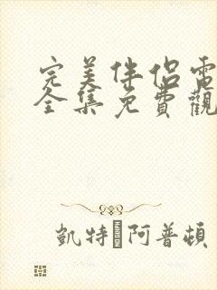完美伴侣电视剧全集免费观看高清封面