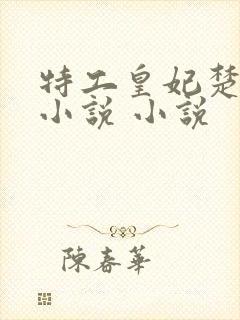 特工皇妃楚乔传小说 小说封面