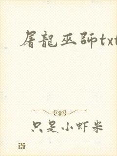 屠龙巫师txt