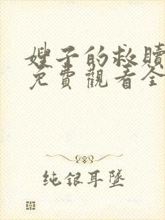 嫂子的救赎日剧免费观看全集中文版封面