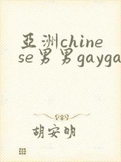 亚洲chinese男男gaygay网站