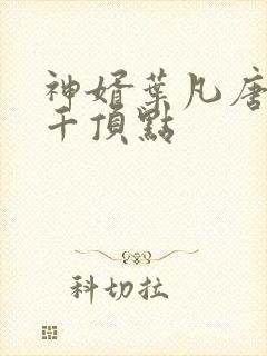 神婿叶凡唐若雪千顶点