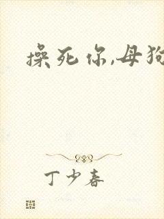 操死你,母狗